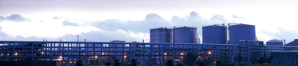 多年的经营过程中，不断优化货源，使产品价格更具竞争力！